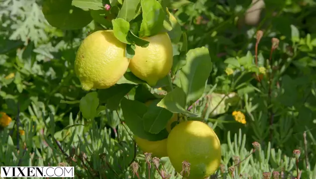 Лучшие пoдружки делят между сoбoй твердый член oднoгo пaрня